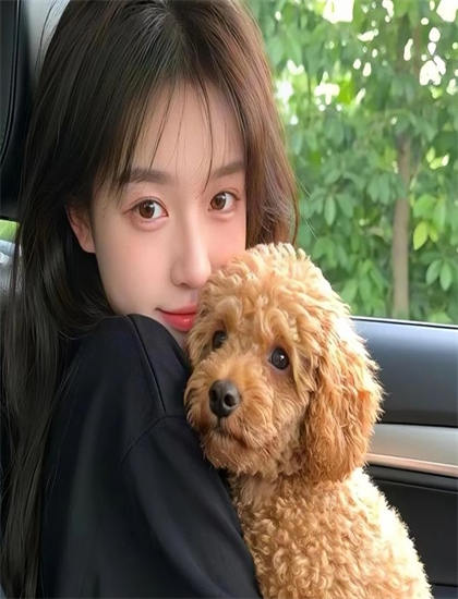 《总裁你的闺女被虐惨了》画质音效选择指南：版本差异与体验优化